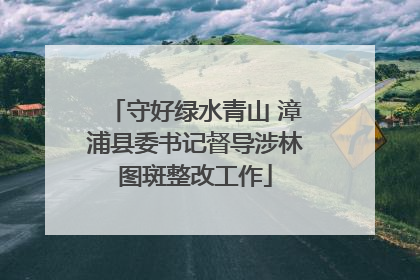 守好绿水青山 漳浦县委书记督导涉林图斑整改工作