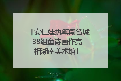 安仁娃执笔闯省城 38组童诗画作亮相湖南美术馆
