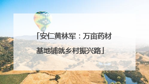 安仁黄林军：万亩药材基地铺就乡村振兴路