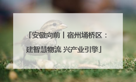 安徽向前丨宿州埇桥区：建智慧物流 兴产业引擎