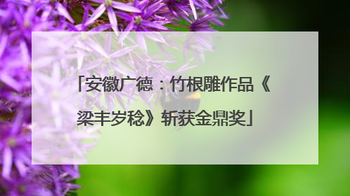 安徽广德：竹根雕作品《梁丰岁稔》斩获金鼎奖