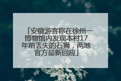 安徽游客称在徐州一博物馆内发现本村17年前丢失的石狮，两地官方最新回应