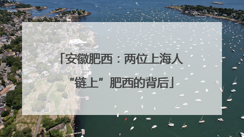 安徽肥西：两位上海人“链上”肥西的背后