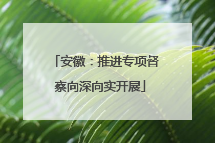 安徽：推进专项督察向深向实开展