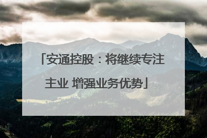 安通控股：将继续专注主业 增强业务优势