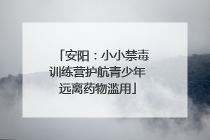 安阳：小小禁毒训练营护航青少年远离药物滥用