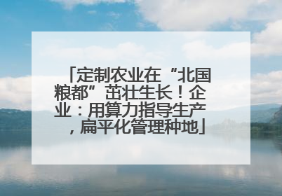 定制农业在“北国粮都”茁壮生长！企业：用算力指导生产，扁平化管理种地