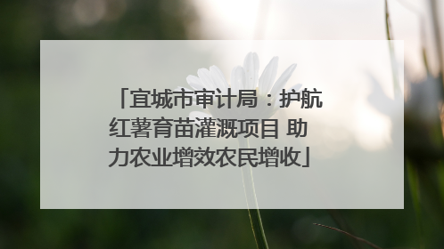 宜城市审计局：护航红薯育苗灌溉项目 助力农业增效农民增收