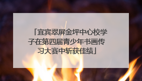 宜宾翠屏金坪中心校学子在第四届青少年书画传习大赛中斩获佳绩