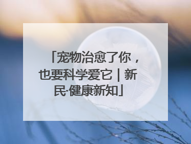 宠物治愈了你，也要科学爱它｜新民·健康新知