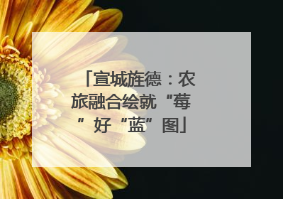 宣城旌德：农旅融合绘就“莓”好“蓝”图