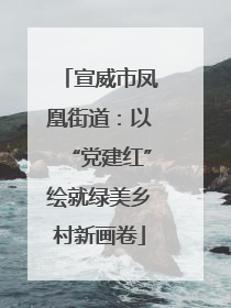 宣威市凤凰街道：以“党建红”绘就绿美乡村新画卷
