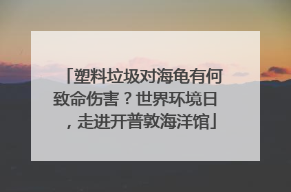 塑料垃圾对海龟有何致命伤害？世界环境日，走进开普敦海洋馆