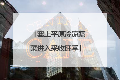塞上平原冷凉蔬菜进入采收旺季