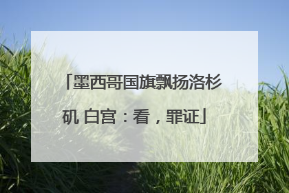 墨西哥国旗飘扬洛杉矶 白宫：看，罪证
