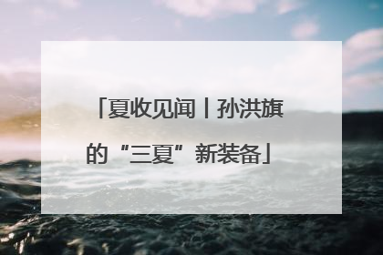 夏收见闻丨孙洪旗的“三夏”新装备