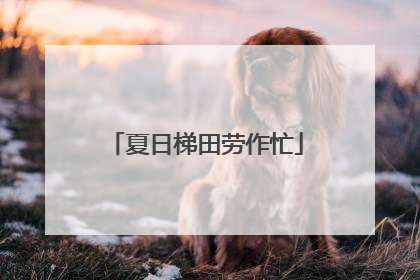 夏日梯田劳作忙