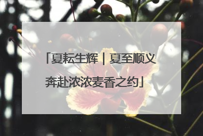 夏耘生辉｜夏至顺义奔赴浓浓麦香之约