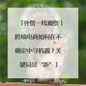 外贸一线观察丨跨境电商如何在不确定中寻机遇？关键词是“新”