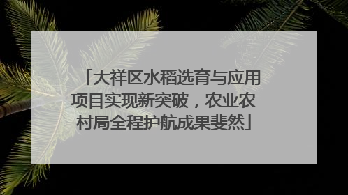 大祥区水稻选育与应用项目实现新突破，农业农村局全程护航成果斐然