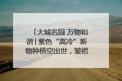 大城名园 万物和谐│紫色“高冷”新物种横空出世，皱褶叶片暗藏进化密码