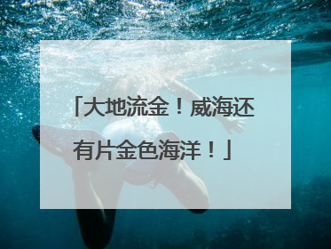 大地流金！威海还有片金色海洋！