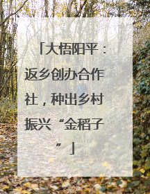 大悟阳平：返乡创办合作社，种出乡村振兴“金稻子”