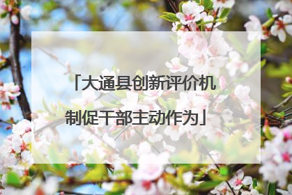 大通县创新评价机制促干部主动作为