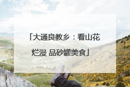 大通良教乡：看山花烂漫 品砂罐美食