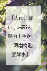 大雨、暴雨，局部大暴雨！今起，河南将迎强降水