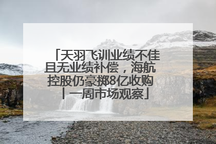 天羽飞训业绩不佳且无业绩补偿，海航控股仍豪掷8亿收购丨一周市场观察
