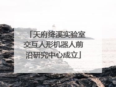 天府绛溪实验室交互人形机器人前沿研究中心成立