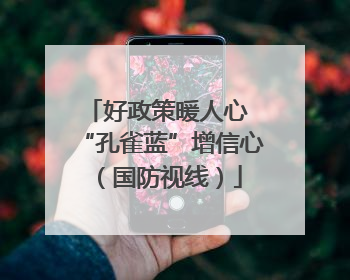 好政策暖人心 “孔雀蓝”增信心（国防视线）