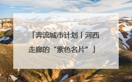 奔流城市计划丨河西走廊的“紫色名片”