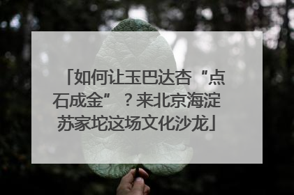 如何让玉巴达杏“点石成金”？来北京海淀苏家坨这场文化沙龙