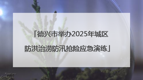 德兴市举办2025年城区防洪治涝防汛抢险应急演练