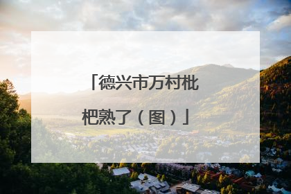 德兴市万村枇杷熟了（图）