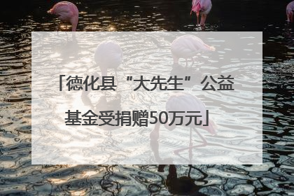 德化县“大先生”公益基金受捐赠50万元