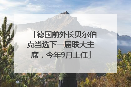 德国前外长贝尔伯克当选下一届联大主席，今年9月上任