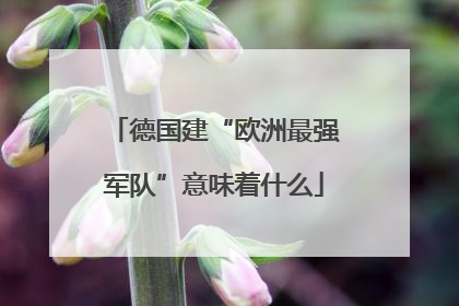德国建“欧洲最强军队”意味着什么