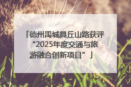 德州禹城具丘山路获评“2025年度交通与旅游融合创新项目”