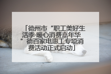 德州市“职工美好生活季·暖心消费嘉年华”德百家电惠工专项消费活动正式启动