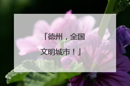 德州，全国文明城市！