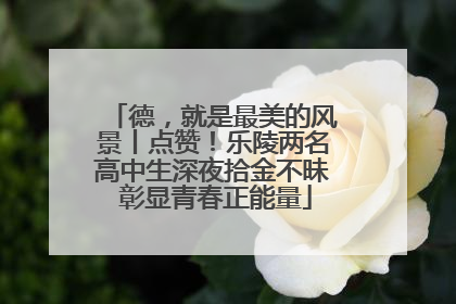 德，就是最美的风景丨点赞！乐陵两名高中生深夜拾金不昧 彰显青春正能量