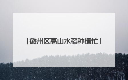 徽州区高山水稻种植忙