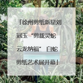 徐州剪纸新星刘冠玉“剪裁灵蛇 云龙纳福” 白蛇剪纸艺术展开幕