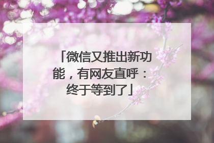 微信又推出新功能，有网友直呼：终于等到了