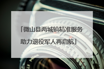 微山县两城镇精准服务助力退役军人再启航
