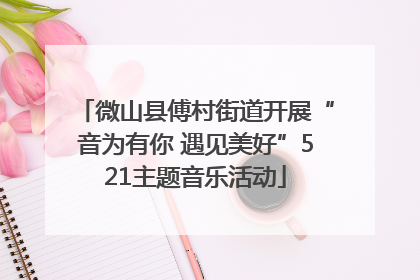 微山县傅村街道开展“音为有你 遇见美好”521主题音乐活动