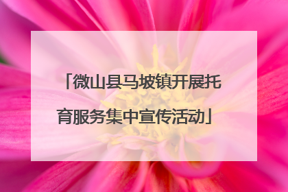 微山县马坡镇开展托育服务集中宣传活动